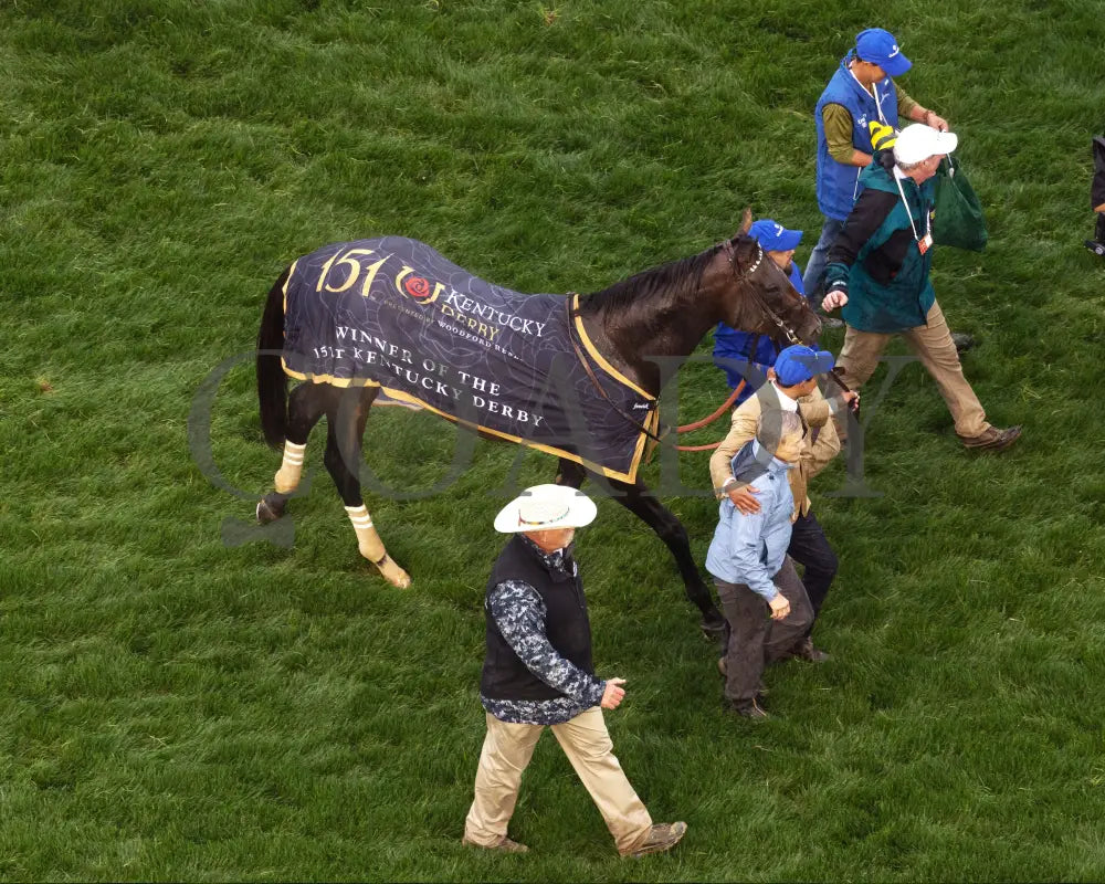 SOVEREIGNTY - The Kentucky Derby - 151st Running - 05-03-25 - R12 - CD - Walk Back 05 Churchill Downs
