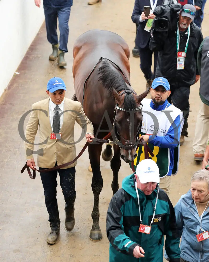SOVEREIGNTY - 050325 - Race 12 - CD - Walk Over 01 Churchill Downs