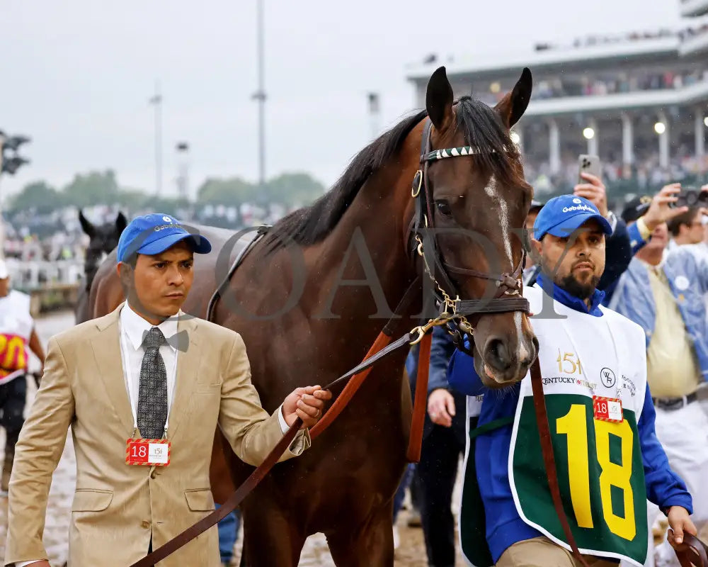 SOVEREIGNTY - The Kentucky Derby - 151st Running - 05-03-25 - R12 - CD - Walk Over 02 Churchill Downs