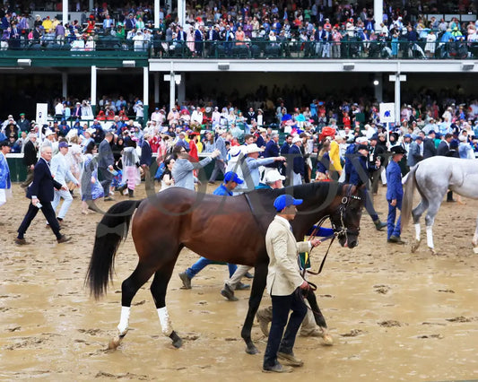 SOVEREIGNTY - The Kentucky Derby - 151st Running - 05-03-25 - R12 - CD - Walk Over 04 Churchill Downs