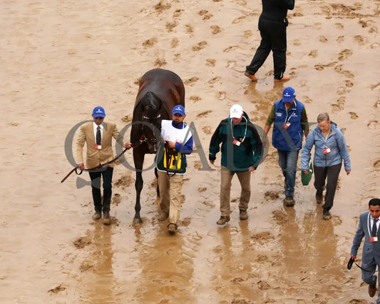 SOVEREIGNTY - The Kentucky Derby - 151st Running - 05-03-25 - R12 - CD - Walk Over 09 Churchill Downs