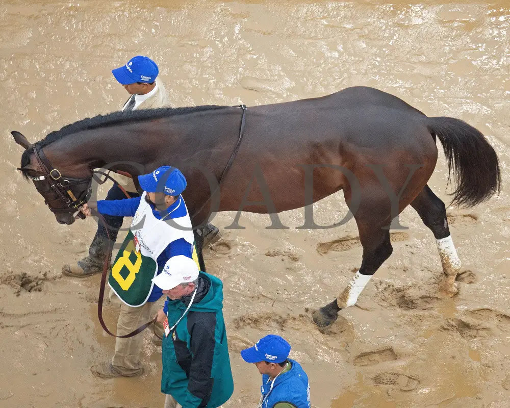 SOVEREIGNTY - The Kentucky Derby - 151st Running - 05-03-25 - R12 - CD - Walk Over 05 Churchill Downs