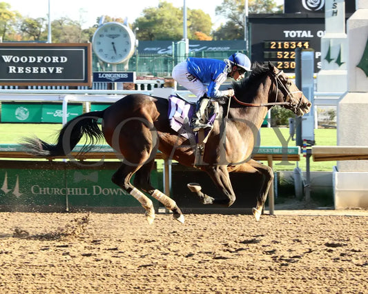 Sovereignty - The Street Sense G3 10-27-24 R10 Cd Finish 01 Churchill Downs