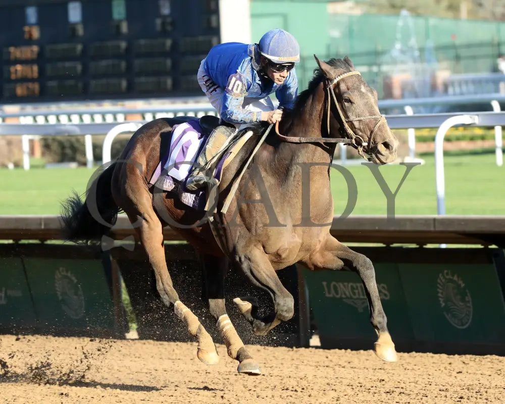Sovereignty - The Street Sense G3 10-27-24 R10 Cd Finish 02 Churchill Downs