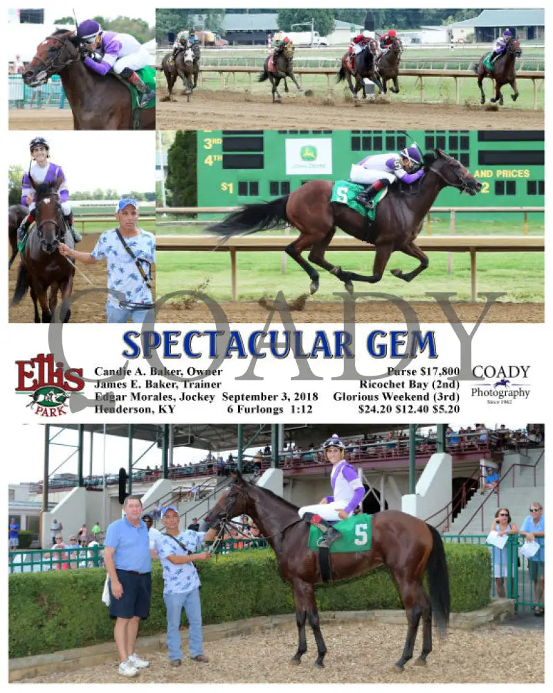 SPECTACULAR GEM - 090318 - Race 01 - ELP - Coady Media - Kurtis Coady Photography