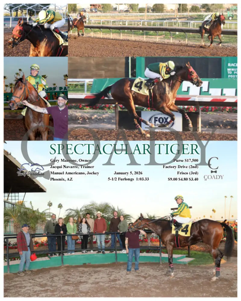 SPECTACULAR TIGER - 01-05-26 - R08 - TUP - Coady Media - Kurtis Coady Photography
