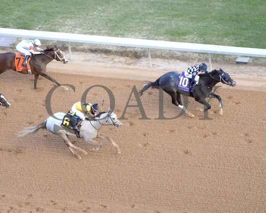 Speed King - The Southwest Stakes G3 01-25-25 R10 Op Aerial Finish 02 Oaklawn Park