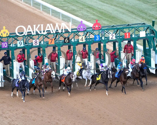 Speed King - The Southwest Stakes G3 01-25-25 R10 Op Aerial Start 01 Oaklawn Park