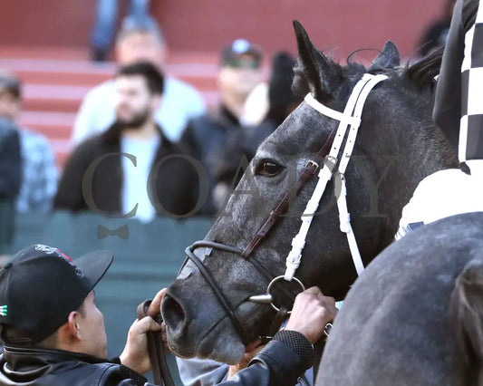 Speed King - The Southwest Stakes G3 01-25-25 R10 Op Come Back 02 Oaklawn Park