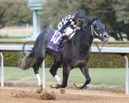 Speed King - The Southwest Stakes G3 01-25-25 R10 Op Finish 02 Oaklawn Park