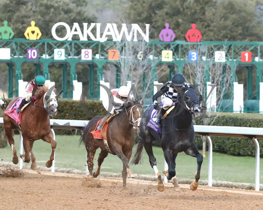 Speed King - The Southwest Stakes G3 01-25-25 R10 Op Finish 03 Oaklawn Park