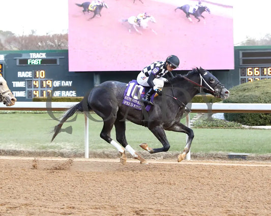 Speed King - The Southwest Stakes G3 01-25-25 R10 Op Finish 01 Oaklawn Park