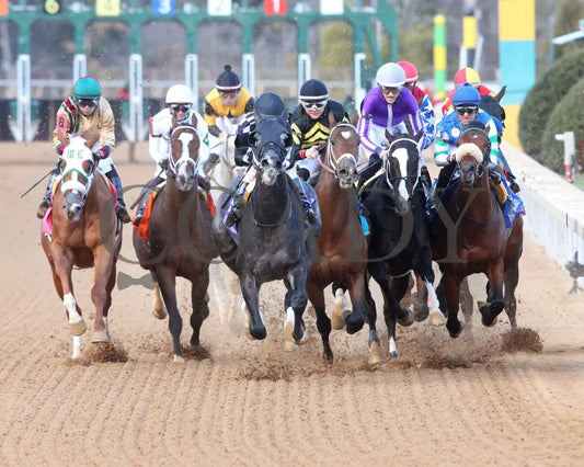 SPEED KING - The Southwest Stakes G3 - 01-25-25 - R10 - OP - First Turn 01 - Coady Media - Kurtis Coady Photography