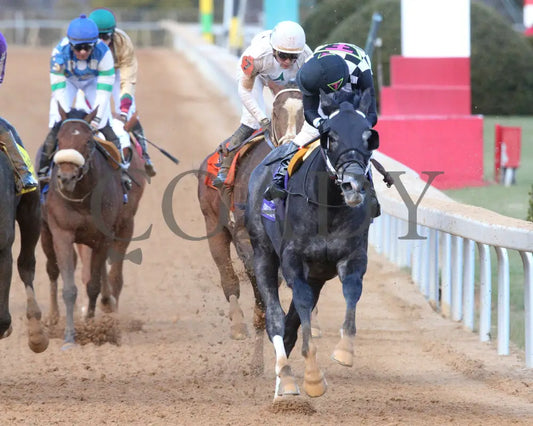 Speed King - The Southwest Stakes G3 01-25-25 R10 Op Gallop Out 01 Oaklawn Park