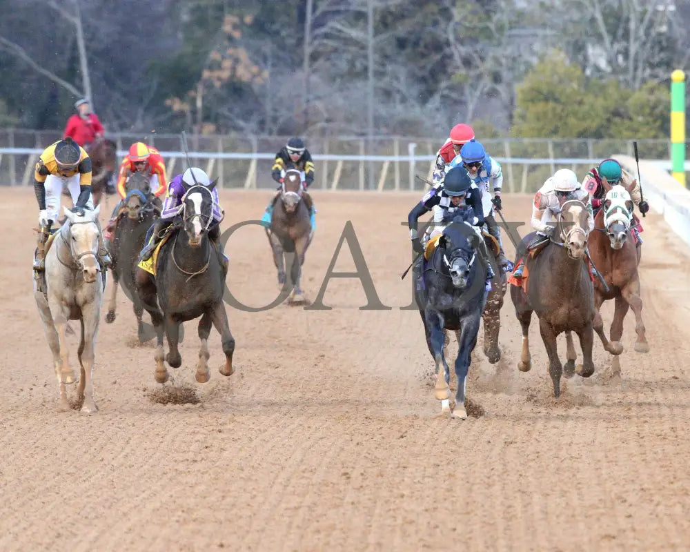 Speed King - The Southwest Stakes G3 01-25-25 R10 Op Head On 01 Oaklawn Park