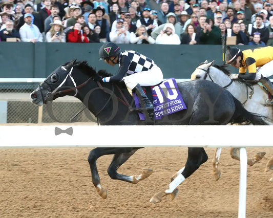 SPEED KING - The Southwest Stakes G3 - 01-25-25 - R10 - OP - Inside Finish 01 - Coady Media - Kurtis Coady Photography