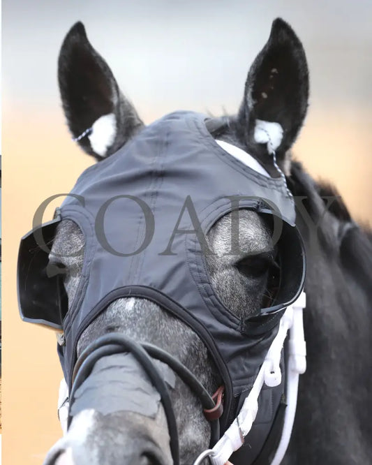 Speed King - The Southwest Stakes G3 01-25-25 R10 Op Paddock 02 Oaklawn Park