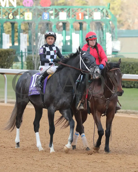 Speed King - The Southwest Stakes G3 60Th Running 01-25-25 R10 Op Post Parade 02 Oaklawn Park
