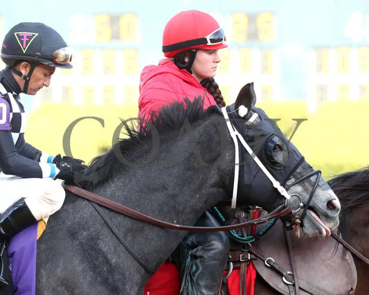 Speed King - The Southwest Stakes G3 60Th Running 01-25-25 R10 Op Post Parade 04 Oaklawn Park