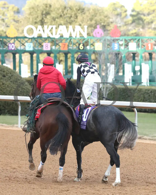 Speed King - The Southwest Stakes G3 60Th Running 01-25-25 R10 Op Post Parade 05 Oaklawn Park