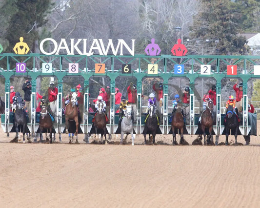 Speed King - The Southwest Stakes G3 60Th Running 01-25-25 R10 Op Start 02 Oaklawn Park