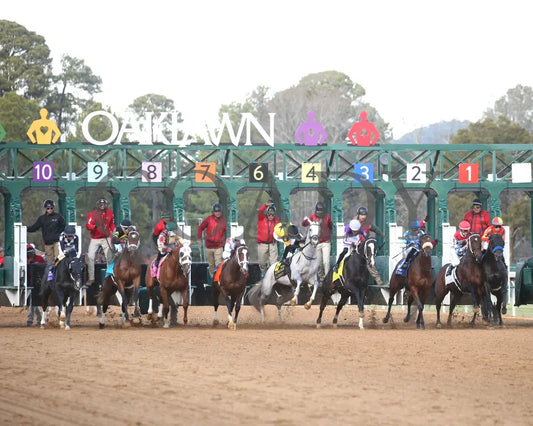 Speed King - The Southwest Stakes G3 60Th Running 01-25-25 R10 Op Start 01 Oaklawn Park