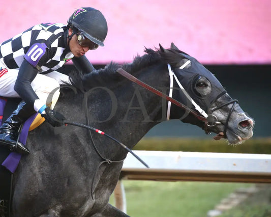 Speed King - The Southwest Stakes G3 60Th Running 01-25-25 R10 Op Tight Finish 01 Oaklawn Park