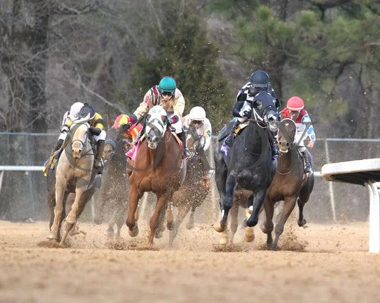 Speed King - The Southwest Stakes G3 60Th Running 01-25-25 R10 Op Turn 01 Oaklawn Park