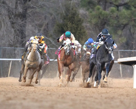SPEED KING - The Southwest Stakes G3 - 60th Running - 01-25-25 - R10 - OP - Turn Tight 01 - Coady Media - Kurtis Coady Photography