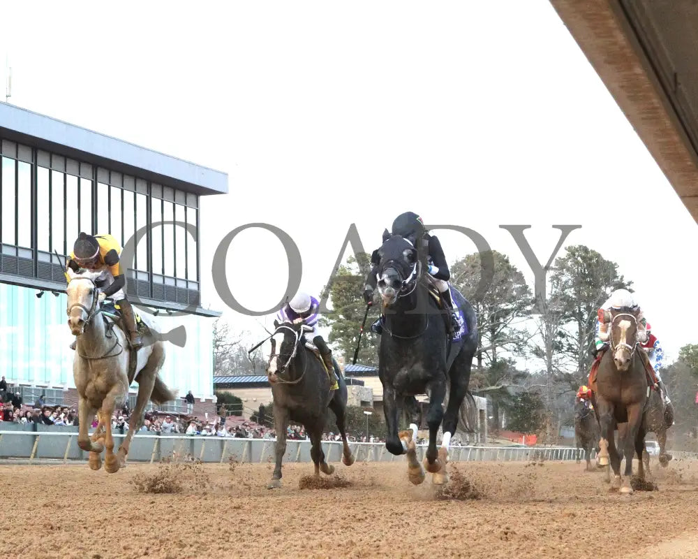 Speed King - The Southwest Stakes G3 60Th Running 01-25-25 R10 Op Under Rail 01 Oaklawn Park