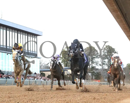 Speed King - The Southwest Stakes G3 60Th Running 01-25-25 R10 Op Under Rail 01 Oaklawn Park