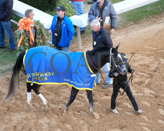 Speed King - The Southwest Stakes G3 60Th Running 01-25-25 R10 Op Walk Back 01 Oaklawn Park
