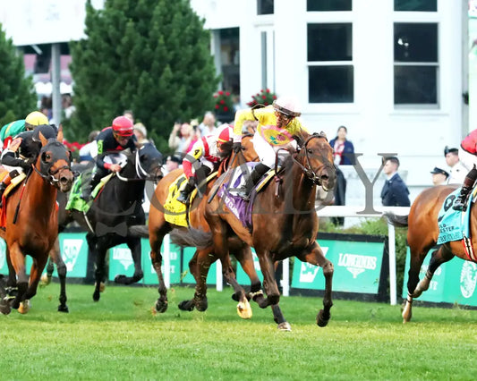 SPIRIT OF ST LOUIS - The Old Forester Bourbon Turf Classic -05-03-25 - R11 - CD - Celebration 01 Churchill Downs