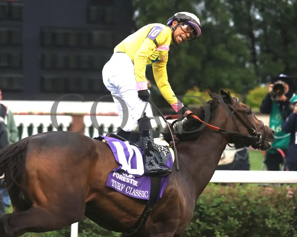 SPIRIT OF ST LOUIS - The Old Forester Bourbon Turf Classic -05-03-25 - R11 - CD - Celebration 02 Churchill Downs