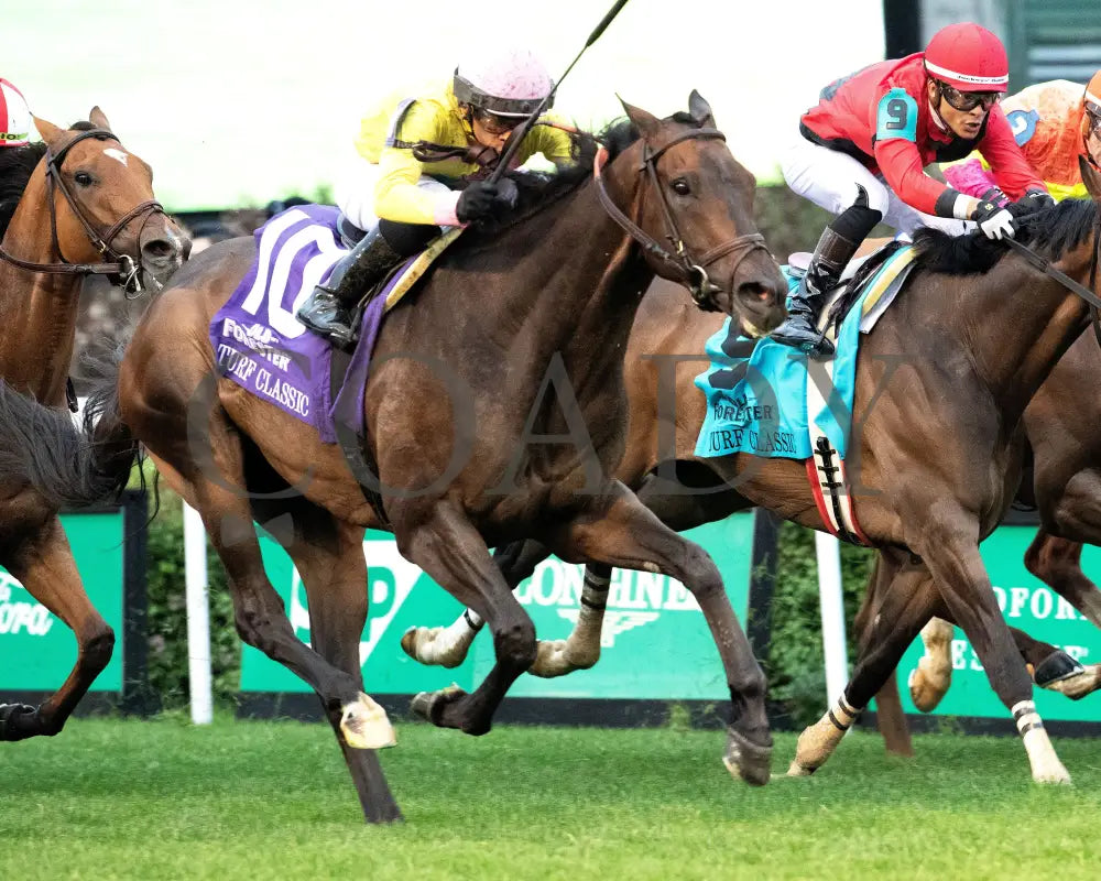 SPIRIT OF ST LOUIS - The Old Forester Bourbon Turf Classic -05-03-25 - R11 - CD - Finish 02 Churchill Downs