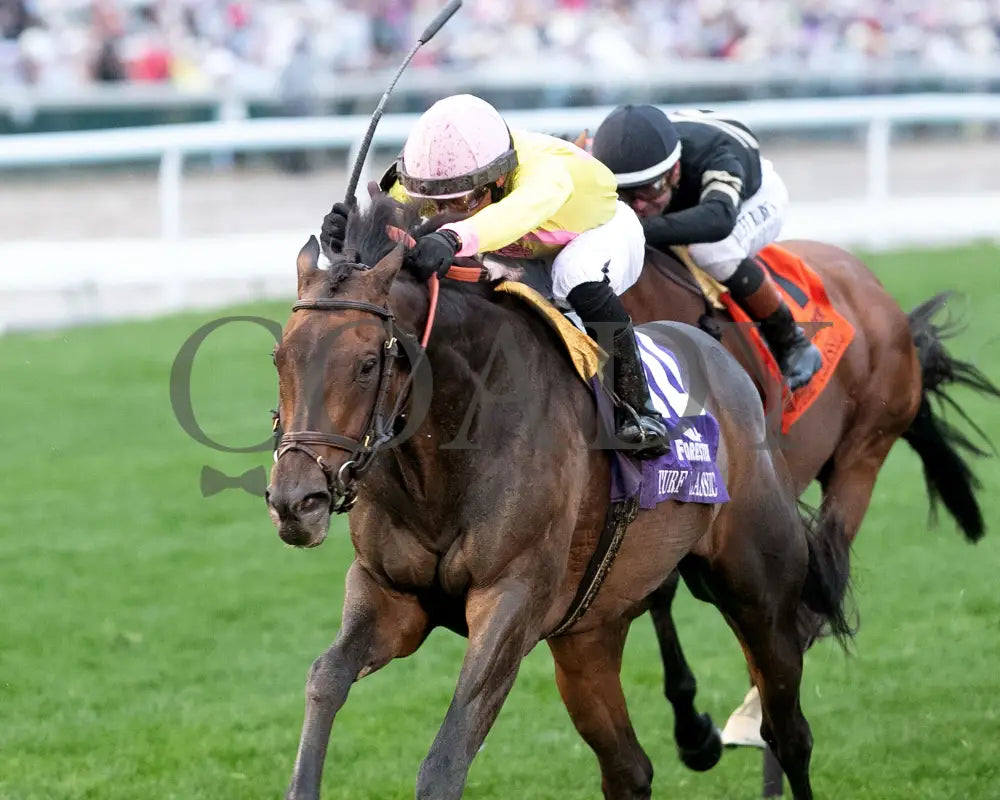 SPIRIT OF ST LOUIS - The Old Forester Bourbon Turf Classic -05-03-25 - R11 - CD - Inside Finish 01 Churchill Downs