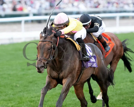 SPIRIT OF ST LOUIS - The Old Forester Bourbon Turf Classic -05-03-25 - R11 - CD - Inside Finish 01 Churchill Downs