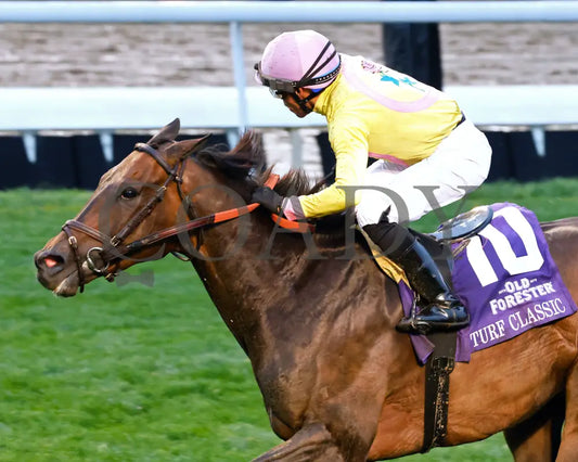 SPIRIT OF ST LOUIS - The Old Forester Bourbon Turf Classic -05-03-25 - R11 - CD - Inside Finish 02 Churchill Downs