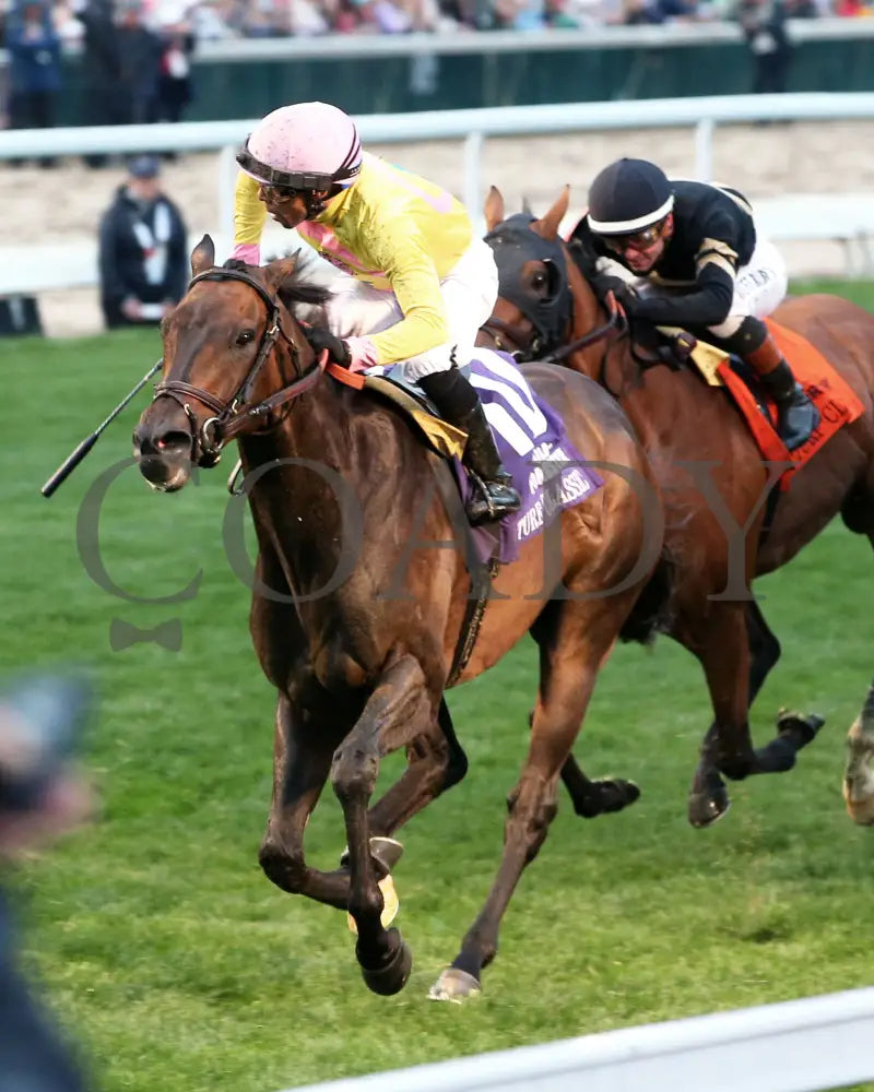 SPIRIT OF ST LOUIS - The Old Forester Bourbon Turf Classic -05-03-25 - R11 - CD - Inside Finish 03 Churchill Downs