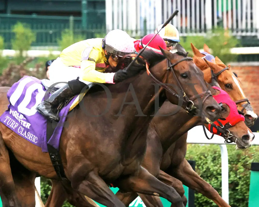 SPIRIT OF ST LOUIS - The Old Forester Bourbon Turf Classic -05-03-25 - R11 - CD - Tight Finish 01 Churchill Downs