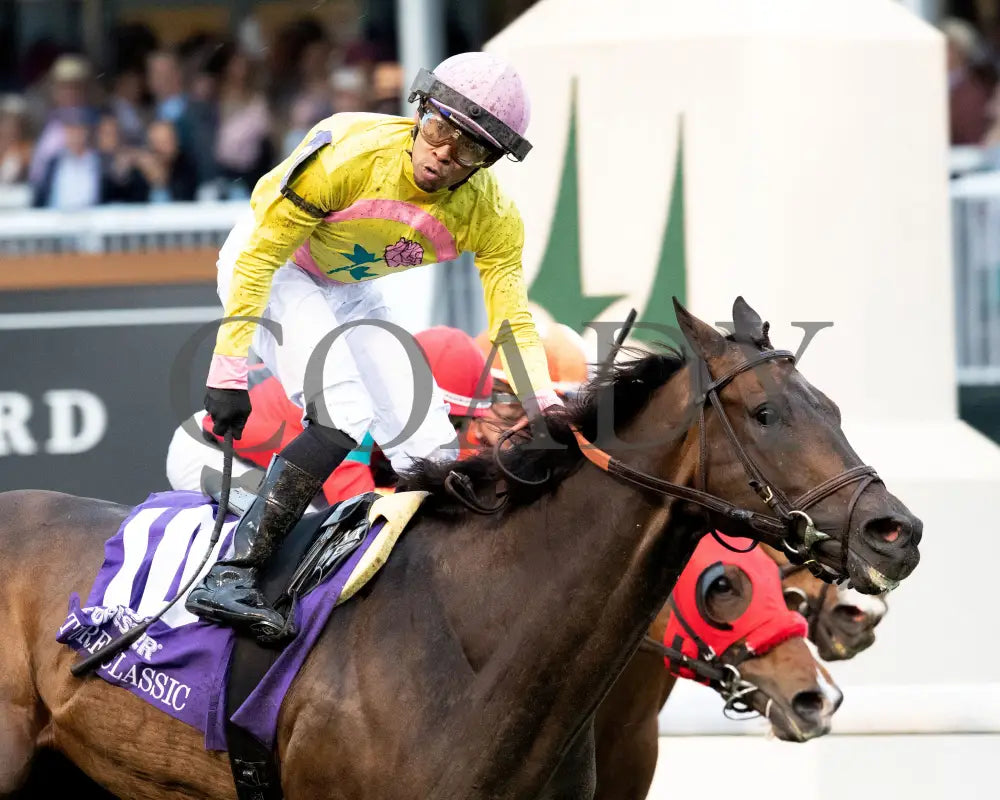 SPIRIT OF ST LOUIS - The Old Forester Bourbon Turf Classic -05-03-25 - R11 - CD - Tight Finish 02 Churchill Downs
