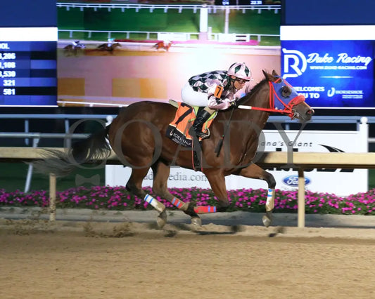 SPIRITED JUSTICE - Back Home Again - 25th Running - 10-01-25 - R11 - Horseshoe Indiana - Finish 01 - Sammantha Pagels