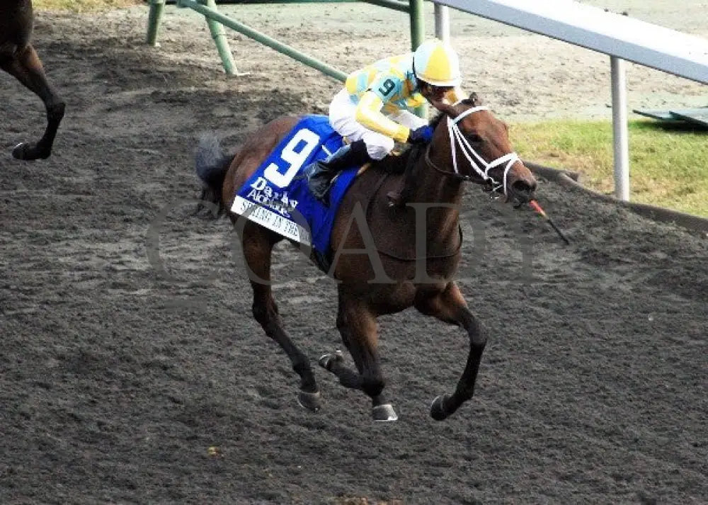 Spring In The Air - Aerial 100512 Race 09 Keeneland