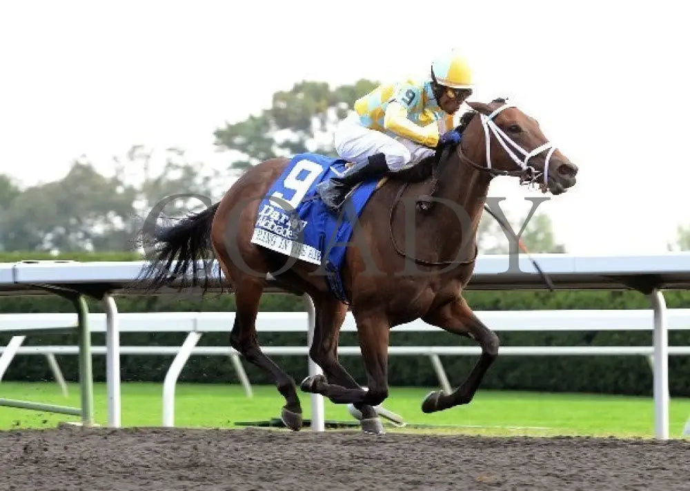 Spring In The Air - Finish 100512 Race 09 Keeneland