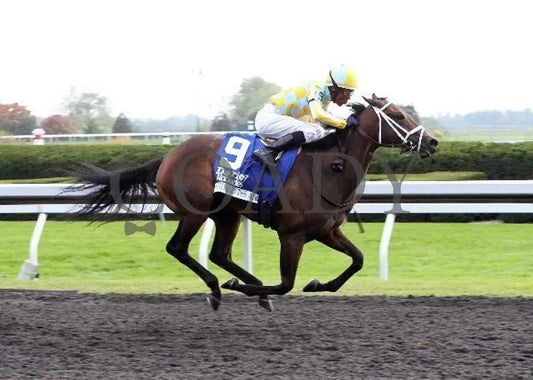 Spring In The Air - Finish2 100512 Race 09 Keeneland