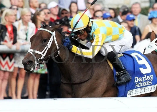 Spring In The Air - Inside Finish 100512 Race Keeneland
