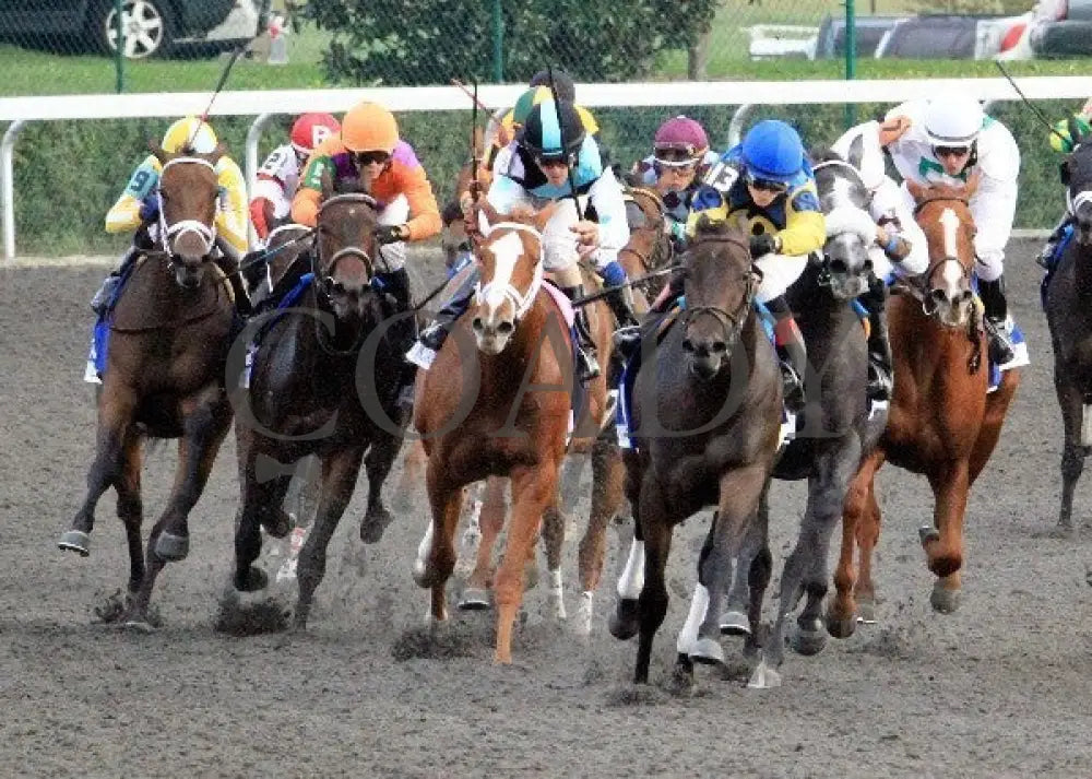 Spring In The Air - Turn 100512 Race 09 Keeneland