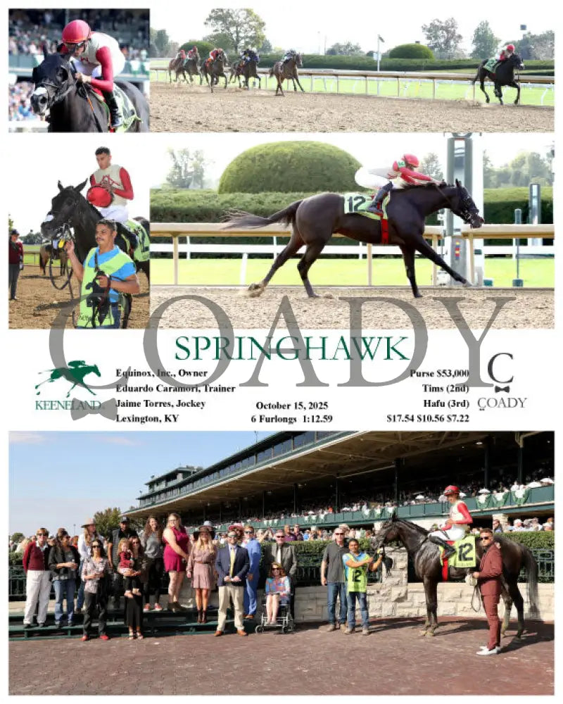 SPRINGHAWK - 101525 - Race 05 - KEE Keeneland