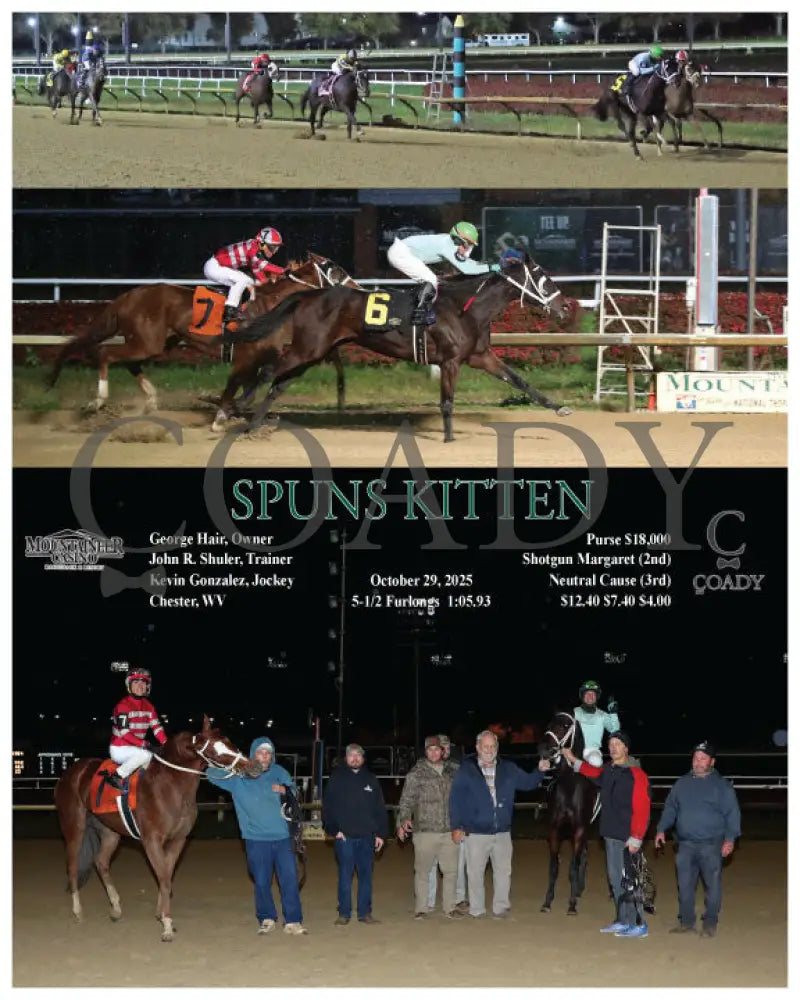 SPUNS KITTEN - 10-29-25 - R02 - MNR Mountaineer Park