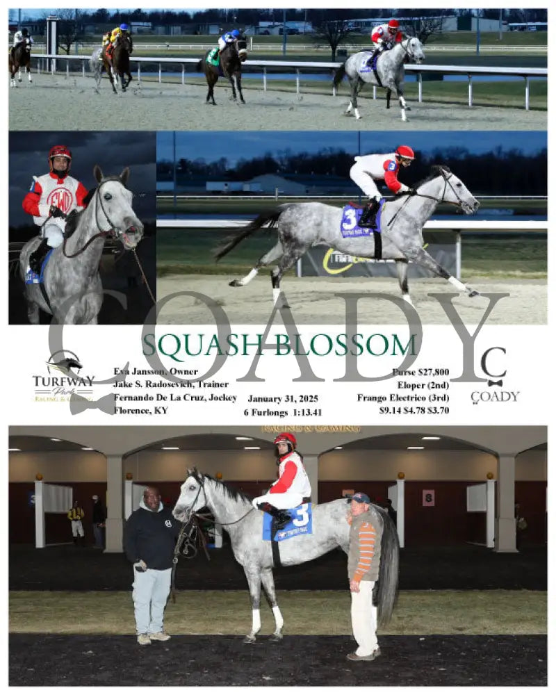 Squash Blossom - 01-31-25 R01 Tp Turfway Park